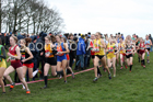 Intermediate girls 2019 New Balance English Schools Cross Country Champs, Temple Newsam, Leeds. Photo:  David T. Hewitson/Sports for All Pics